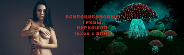 spice Заводоуковск